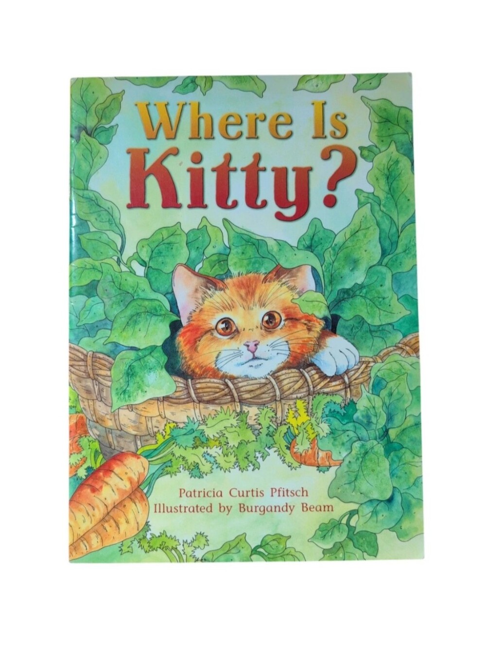 Where Is Kitty Softcover Book